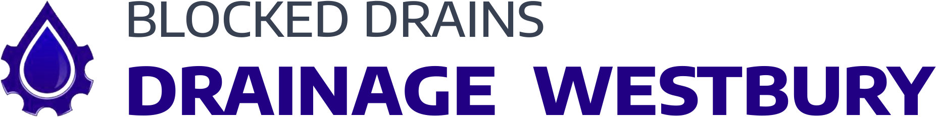 website logo